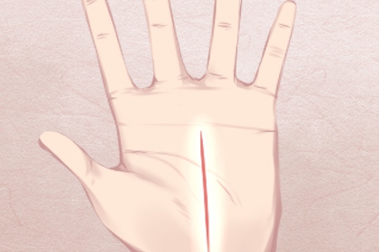 一辈子有钱的女人手相 掌纹清晰无杂乱