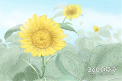 �����������ͼ�����