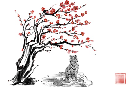 2010������Ľ����� ��Ф��2022�����ƽ���