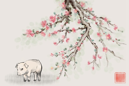 ����Ů�ĺ���ʲô�Ļ������ ������ֹ�ͬ�ܶ�