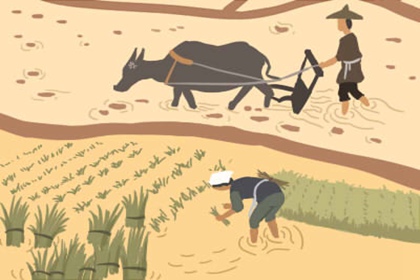 ����è���ķ�ˮ�ɻ���ʲô��