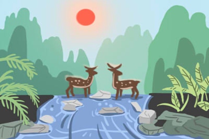 ����è���ķ�ˮ�ɻ���ʲô��