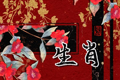 ����������ĺϵ����� ����Ů����ѻ�������