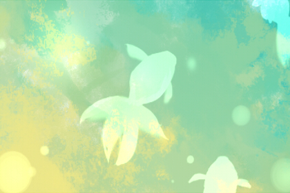 ���࿴�����Ƿ���� �����������