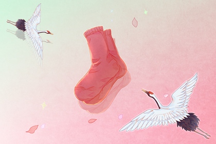 2022�껢�그̫����ĸ����� ��̫����������Ф