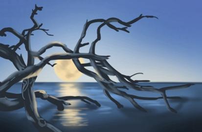 �Ʋ������������ Ҫע��Щʲô