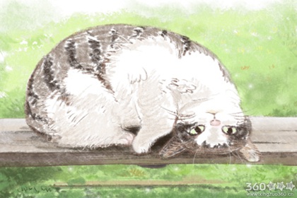 ʮ����������Ƿ�Լ�Ǯ�������˻�����