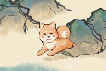 82���80����������� ������м�