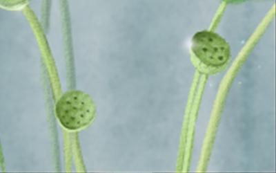 �������λ��������_��������ʲô����