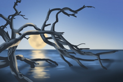 ��˫����ͼƬ��ѡ