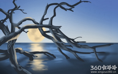 ͨ������ͼ�⣬����ͨ�����Ƶ�˵��