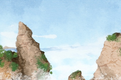 大林木命的人适合养什么植物