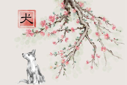 ��������һ����˺��� ��������������