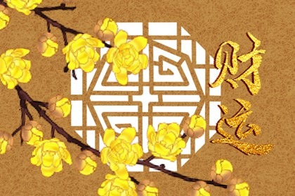 ���ܷż����вƻ����Ʋ� ��ʲô������