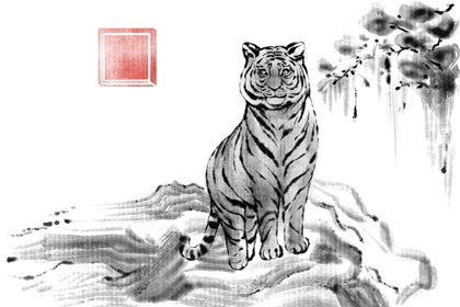 ���������ߵĻ���ò��� ����Ϸ�����