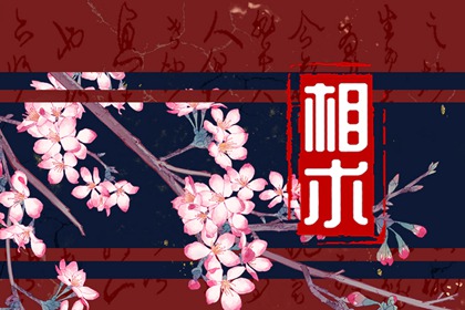 ������������볤�ںδ� ��ʲô˵����