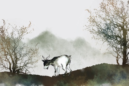 ���ú�����ĺϲ��ϲ� ��һ��ᳳ����