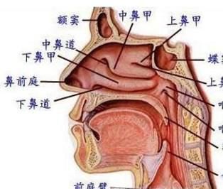 ����ļ��ɺ�����