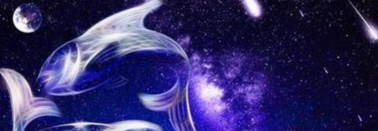 ˫����������������ʲô