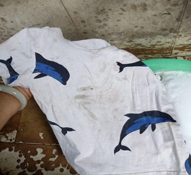 ���ȥ���ڰ�����