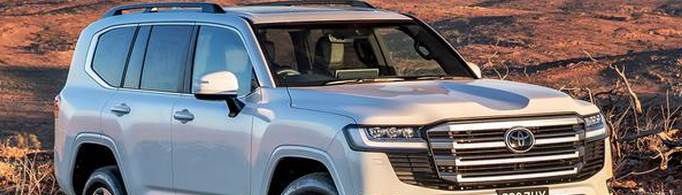 ������õ�����ԽҰ������Щ��