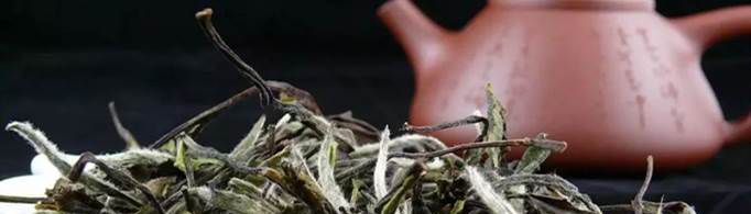 ����Ϊʲô�����Ͱײ裿