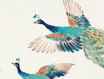 �ָ�˫���ָʲô��