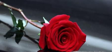 õ�廨������ʲô