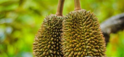 ��������7�����