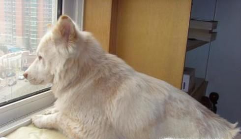 �������е�������������