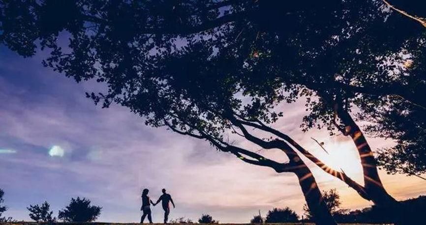 ׹�밮�ӵĸо���������