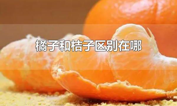 为什么橘子的颜色是黄色的