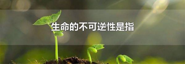 生命的不可逆性是指-生活经验-生活小常识大全