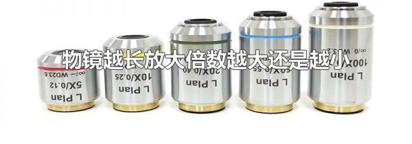 物镜越长放大倍数越大还是越小-生活经验-生活小常识大全
