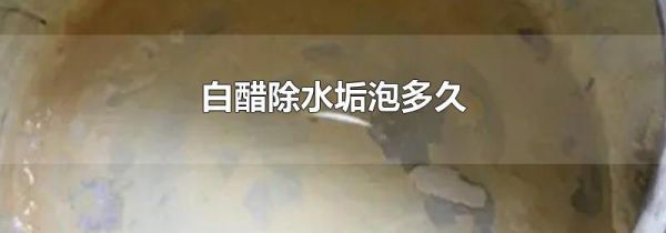 �״׳�ˮ���ݶ��