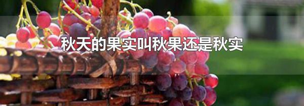 ����Ĺ�ʵ�����������ʵ