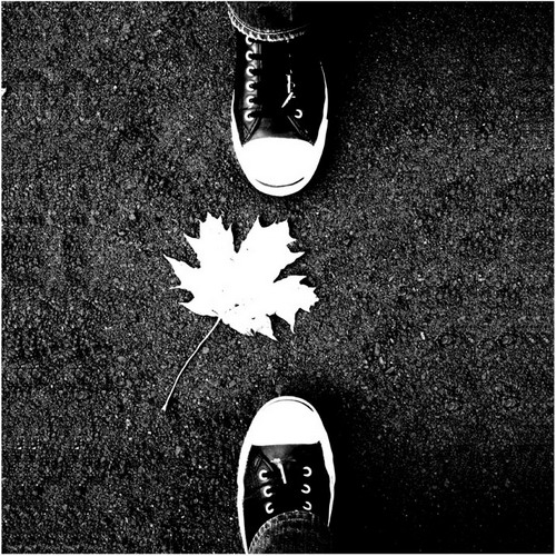 ����С��