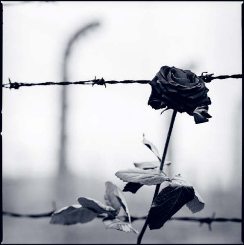 ��榤����ˊy