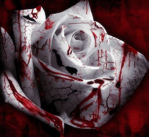 ������Ů��Ĺ����