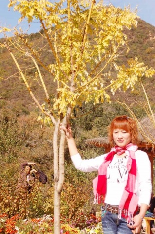 ����µ���Ӱ2011