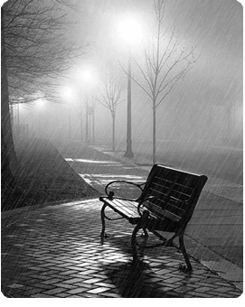 ��Ӧ��Ӵ˲��ޡ�