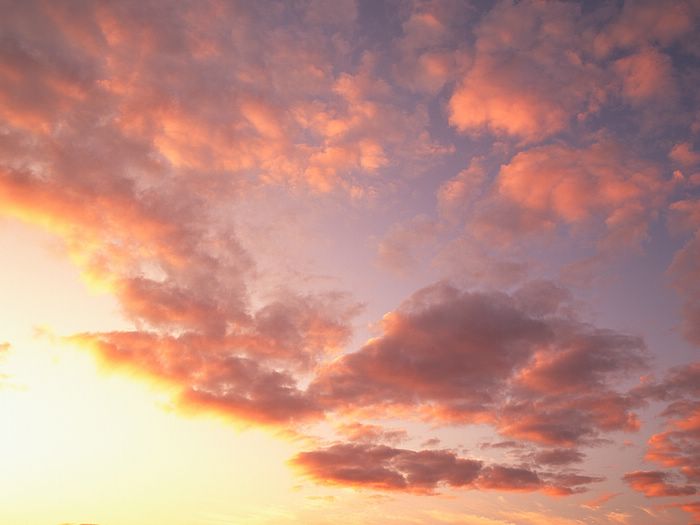 ��Ҫ������������������