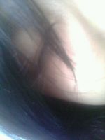 ����İ��