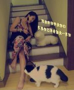 һ������ķ�Ѿͷ