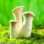 ���µ��ƶ�