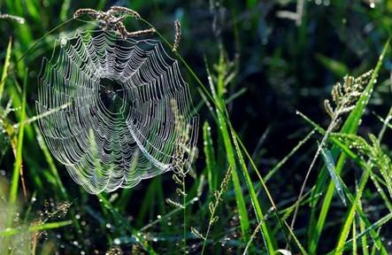 佛家四大经典爱情故事……看完第一个我的眼睛就湿了。。