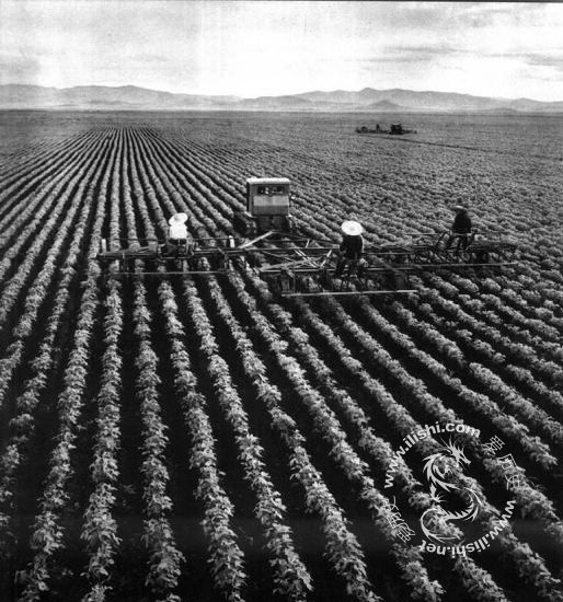 ���䣬һ���й��µ��ˣ�4��