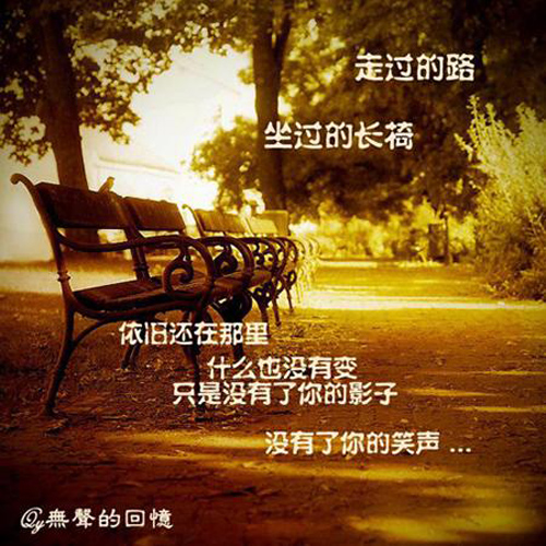 ����Ƭ�����ı���