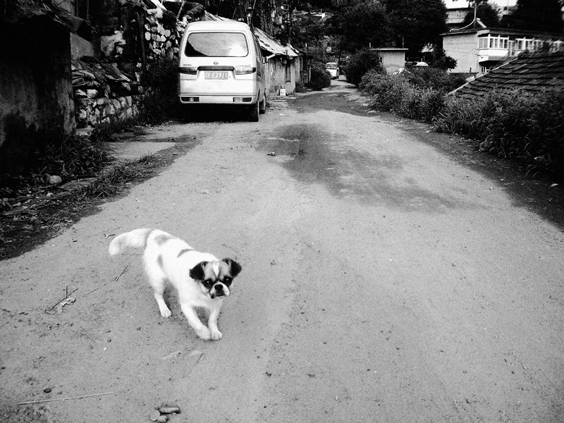 ���죬���������Ŀ��������ĵĻ���