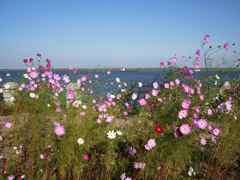 רע���Լ���·�ɣ�